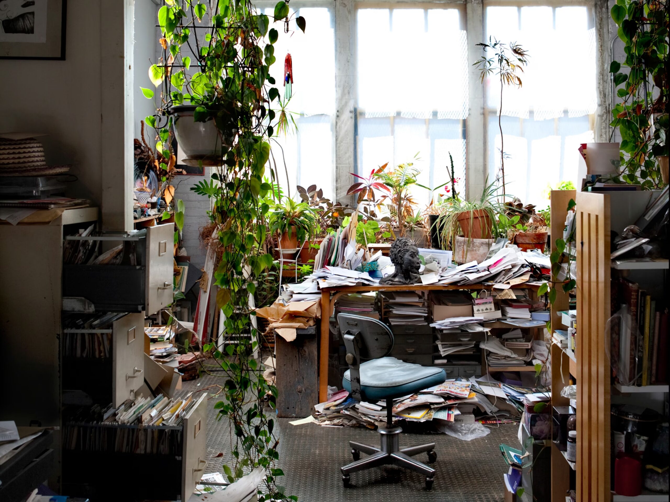 Liberate yourself from clutter and reclaim your peace of mind!